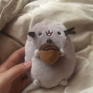 Acorn Pusheen stuffed animal